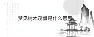 背景圖 - 2023-06-14T155804.793.jpg