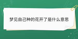 夢(mèng)見(jiàn)自己種的花開(kāi)了是什么意思