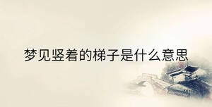 傳統(tǒng) - 2023-06-29T132217.771.jpg