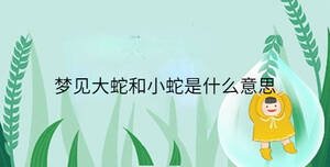 夢(mèng)見大蛇和小蛇是什么意思