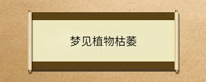 夢(mèng)見植物枯萎