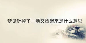 夢(mèng)見(jiàn)針掉了一地又撿起來(lái)是什么意思