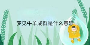 小孩起名 - 2023-08-11T132407.476.jpg