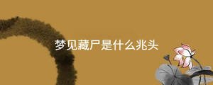 夢(mèng)見藏尸是什么兆頭