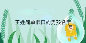 王姓簡(jiǎn)單順口的男孩名字