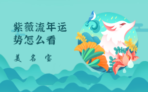 紫薇流年運(yùn)勢怎么看